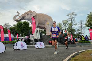 BIB: 
                            <button type="button" onclick="openModal(26528796)" class="btn btn-primary btn-sm float-right btn-popup" data-toggle="modal" data-target=".modal-high-quality">
                        <i class="fas fa-shopping-cart"></i> Add to Cart
                    </button>
                                            <button type="button" onclick="isThisMe(26528796, true)" class="btn btn-success btn-sm float-right btn-popup btn-isme hidden" data-toggle="tooltip" data-placement="bottom" title="นี่คือรูปของคุณใช่ไหม คลิกที่นี่เพื่อเอาเข้าอัลบั้ม">
                        <i class="fas fa-plus"></i> Add to album
                    </button>
                    <button type="button" onclick="isThisMe(26528796, false)" class="btn btn-warning btn-sm float-right btn-popup btn-isnotme hidden">
                        <i class="fas fa-ban"></i> Remove from album
                    </button>